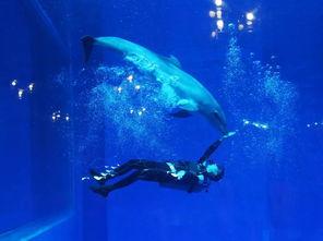 一线吃瓜娱乐圈海底见月