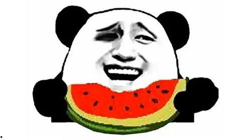 娱乐吃瓜酱低智商,揭秘低智商背后的娱乐真相