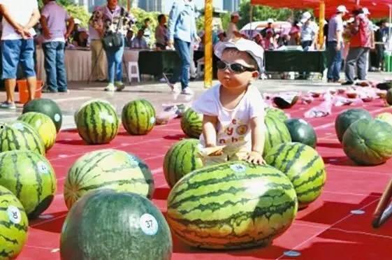 吃瓜大赛宣传语,吃瓜大赛，一夏狂欢等你来